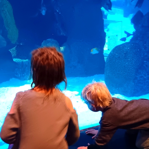 Sammi 🌿✨🪻️ Beauty - Boho - Herbs 🪻✨️🌿 - Holistic Connections - Picture 7 of 11